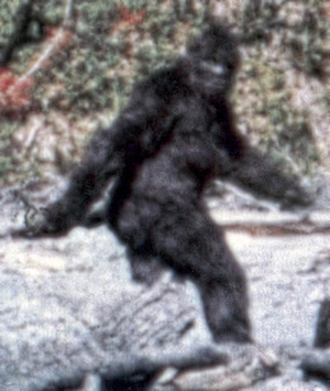 bigfoot