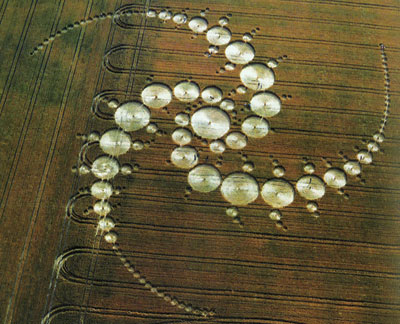 Fractal de Julia aparece nas plantações da Inglaterra
