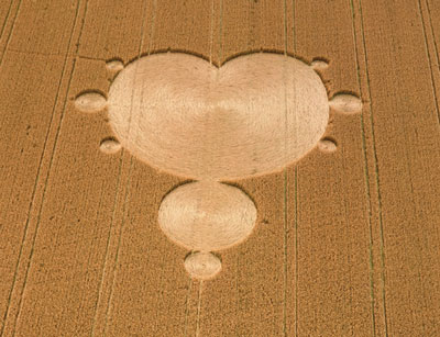 Fractal de Mandelbrot aparece nas plantações da Inglaterra