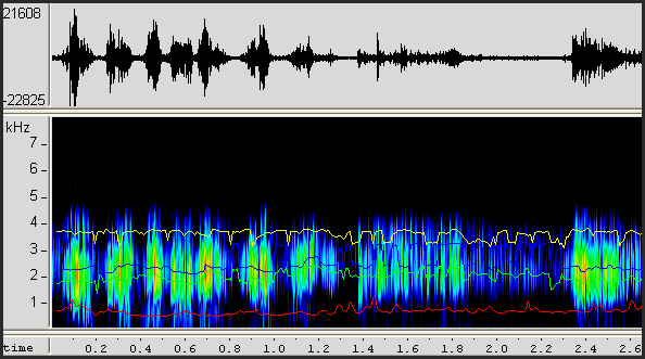 Software são utilizados para analisar as gravações de vozes 