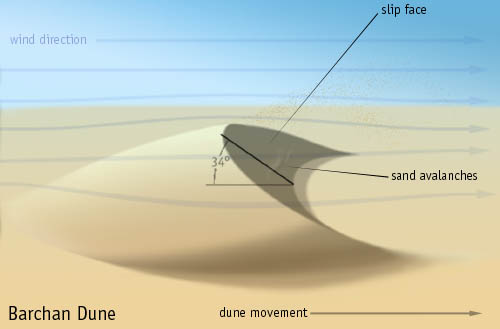 desenho-duna-barcana