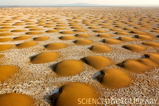 Dry sea-bed, Ethiopia
